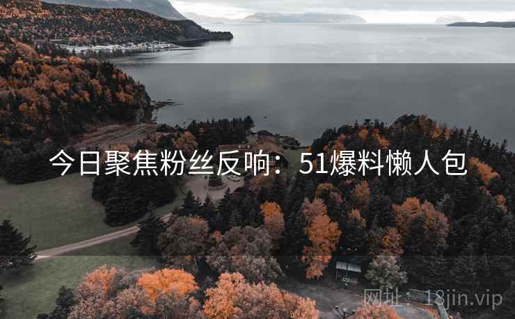 今日聚焦粉丝反响：51爆料懒人包