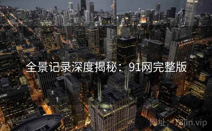 全景记录深度揭秘：91网完整版