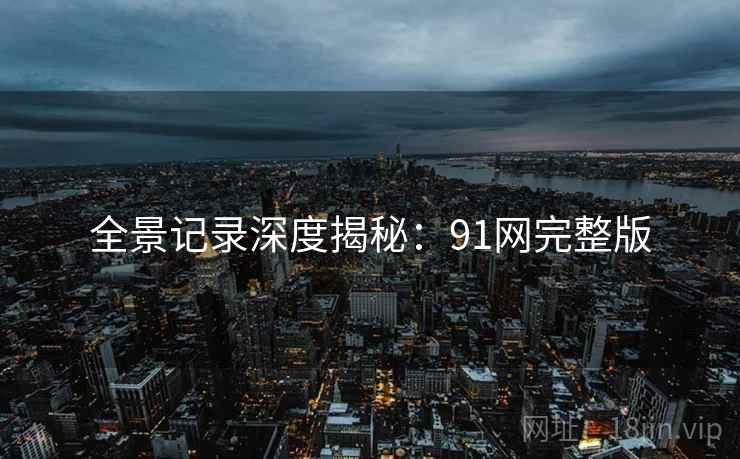 全景记录深度揭秘：91网完整版