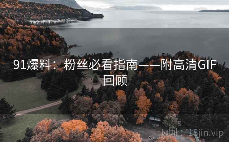 91爆料：粉丝必看指南——附高清GIF回顾