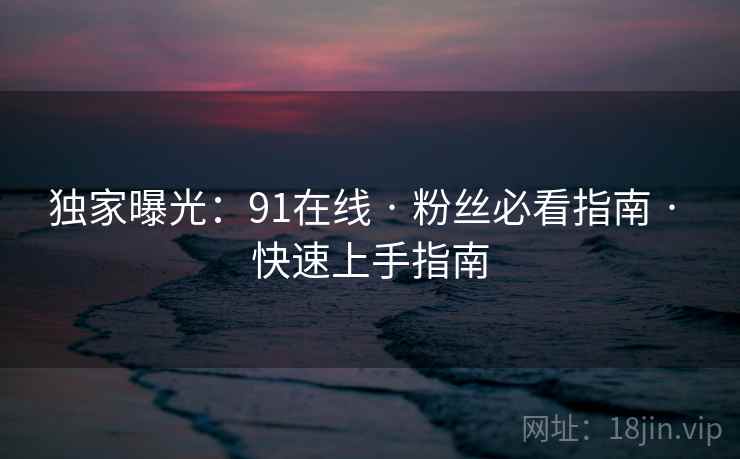 独家曝光：91在线 · 粉丝必看指南 · 快速上手指南