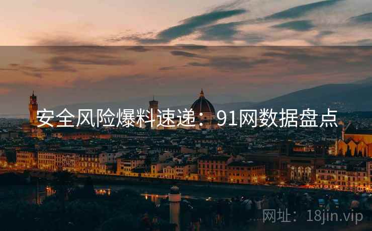 安全风险爆料速递：91网数据盘点