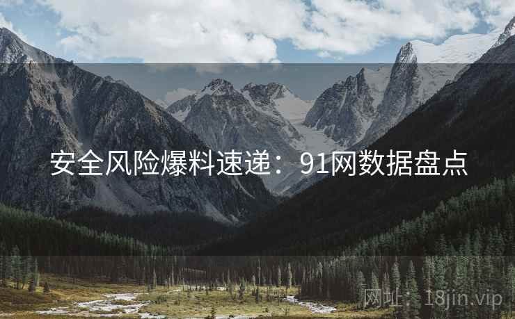 安全风险爆料速递：91网数据盘点