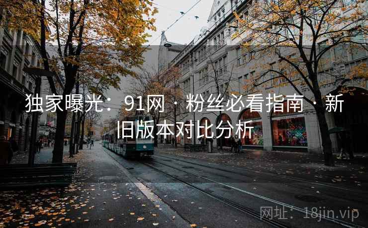 独家曝光：91网 · 粉丝必看指南 · 新旧版本对比分析