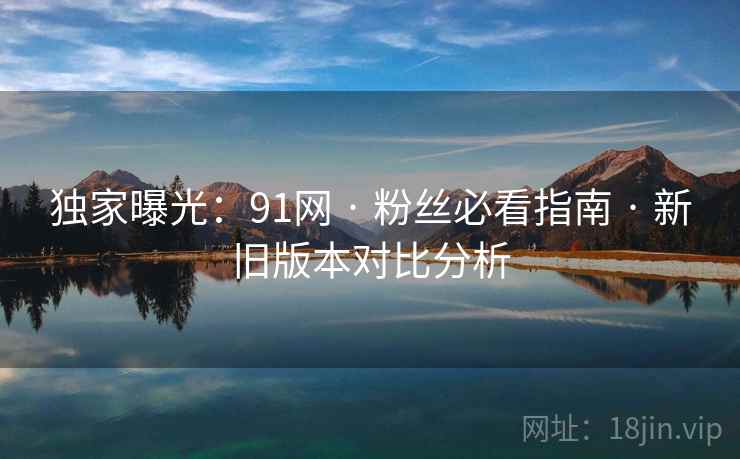 独家曝光：91网 · 粉丝必看指南 · 新旧版本对比分析