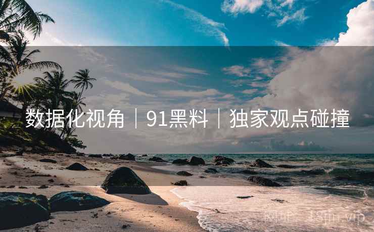 数据化视角｜91黑料｜独家观点碰撞