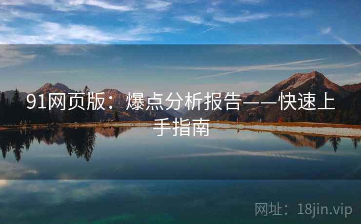 91网页版：爆点分析报告——快速上手指南