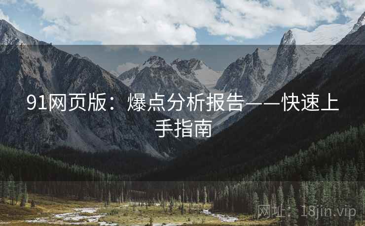 91网页版：爆点分析报告——快速上手指南