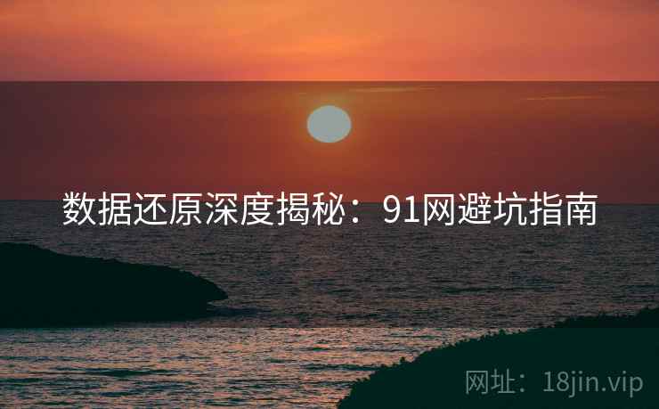 数据还原深度揭秘：91网避坑指南