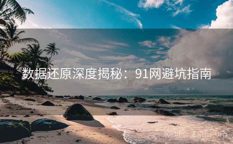 数据还原深度揭秘：91网避坑指南