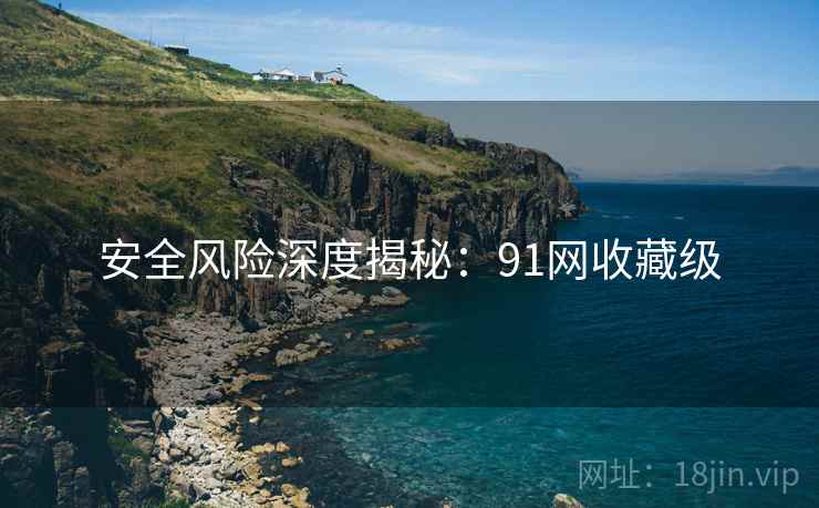 安全风险深度揭秘：91网收藏级  第2张